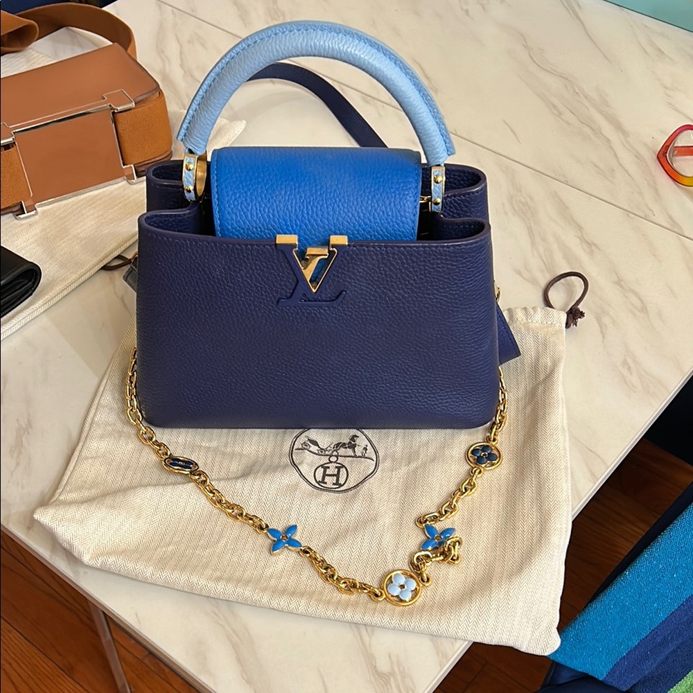 Louis Vuitton Blue and Light Blue Women's Bag
